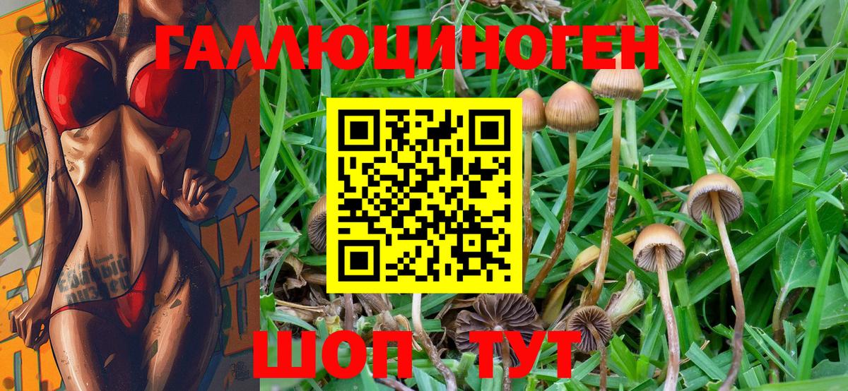 Галлюциногенные грибы MAGIC MUSHROOMS  Вход с VPN  Раменское  Галлюциногенные грибы мухоморы 