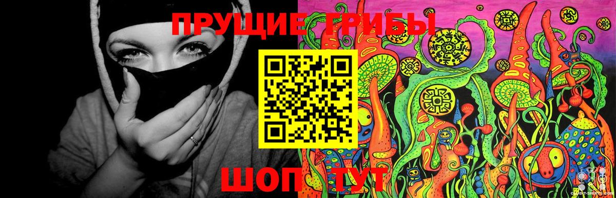 Псилоцибиновые грибы Psilocybe Раменское